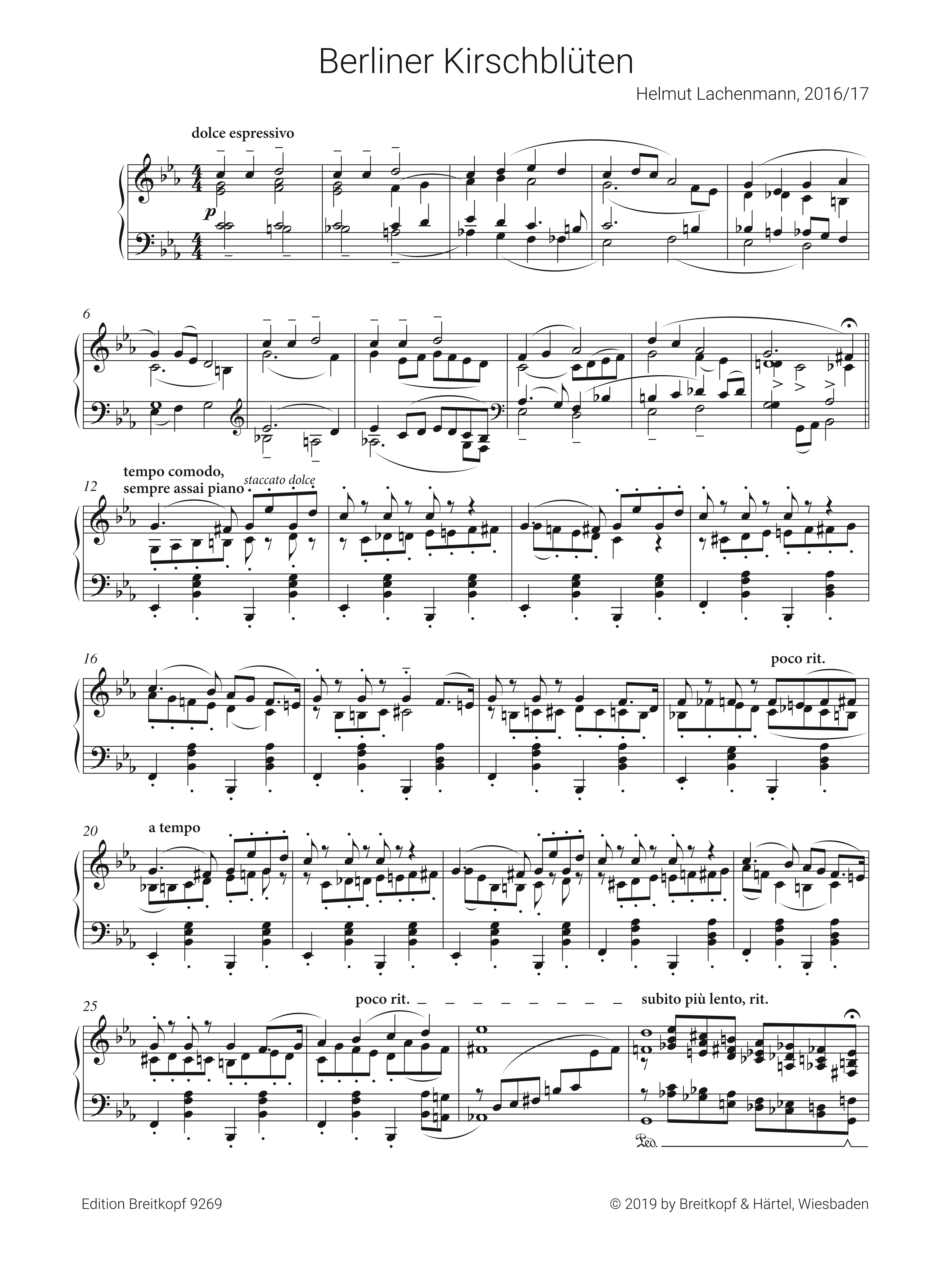 Berliner Kirschblüten