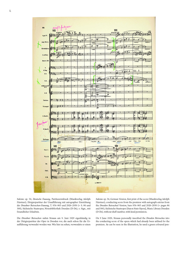 Kritische Ausgabe Serie 1 Band 3b