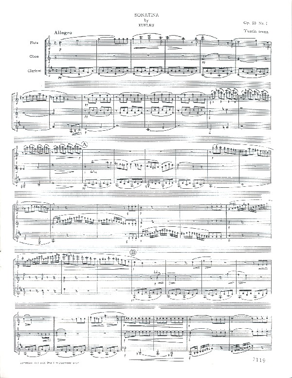 Sonatina op.20,1