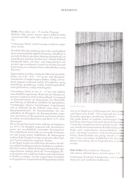 Holz als Rohstoff für den Musikinstrumentenbau