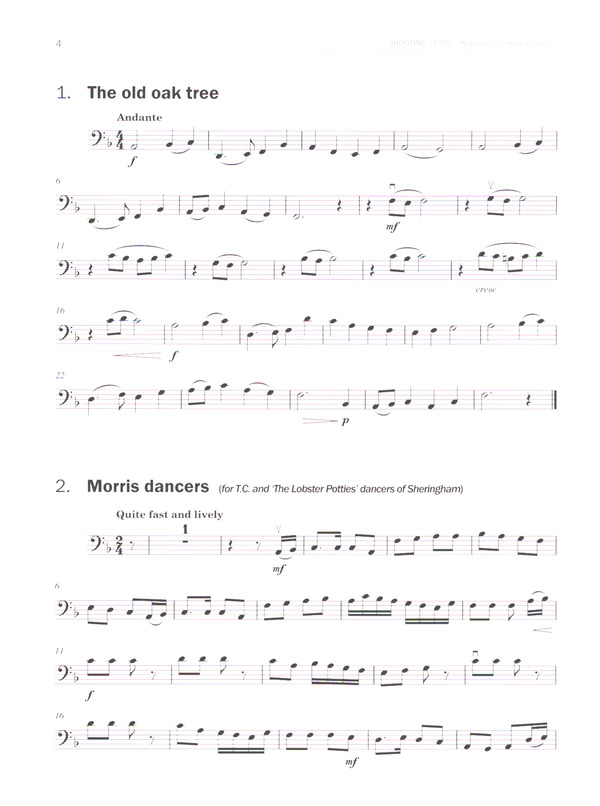 Shooting Stars (+Online Audio)