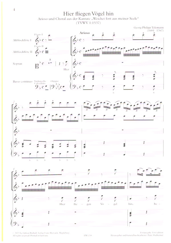 Flauto e Voce Band 21