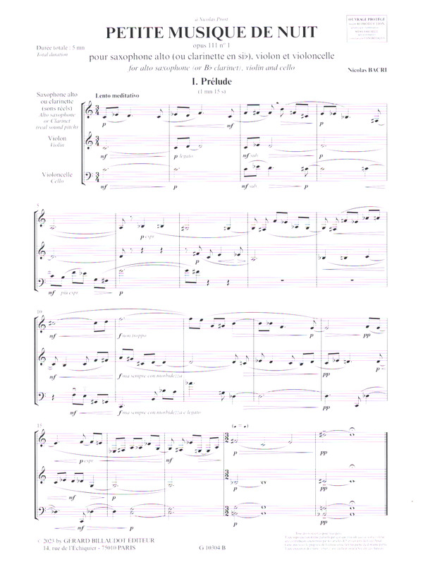 Petite Musique de Nuit op.111 no.1