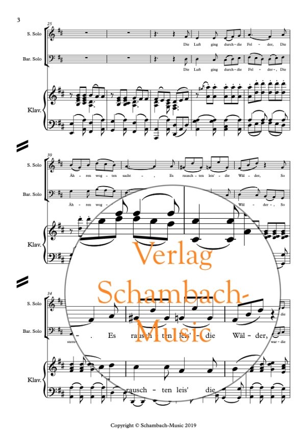 Mondnacht 