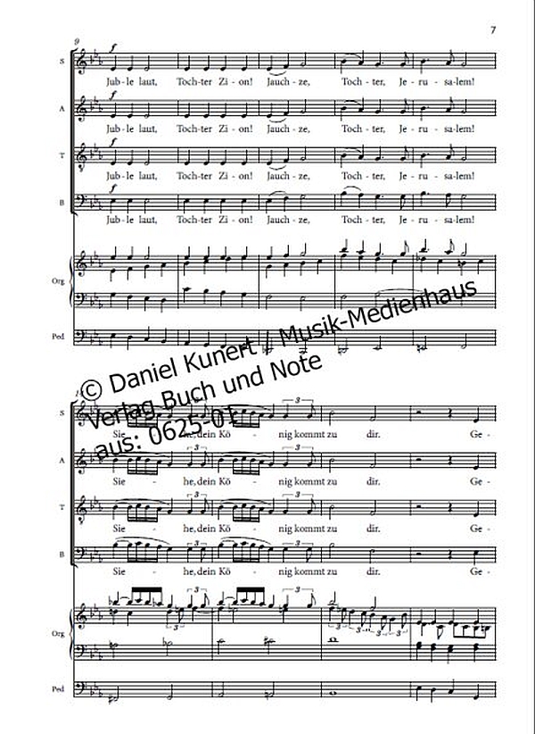 Jesu Einzug nach Jerusalem