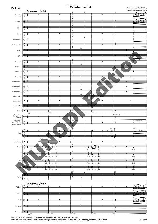 Stimmen einer Winternacht (Adventmusik)