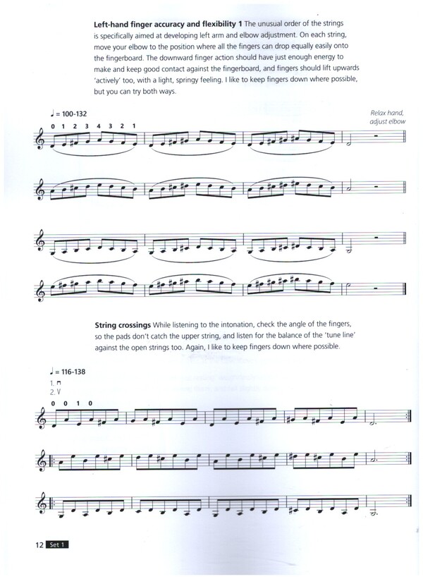 Violin Technique in Practice