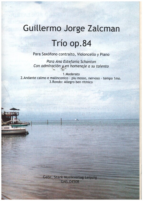 Trío op.84