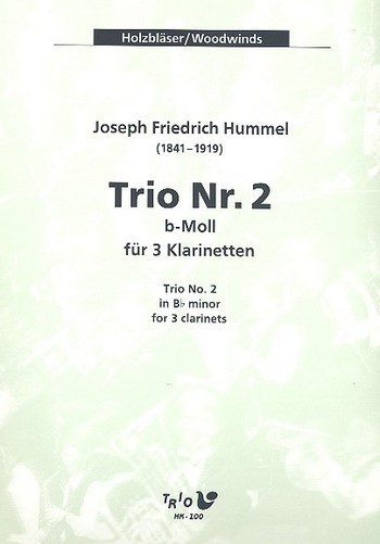 Trio b-Moll Nr.2