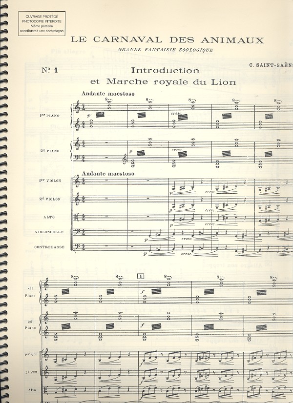 Le Carneval des animaux pour
