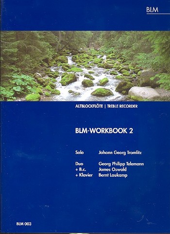 BLM-Workbook 2 
