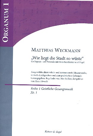Wie liegt die Stadt so wüste