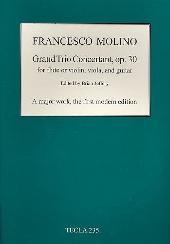 Grand Trio Concertanto op.30