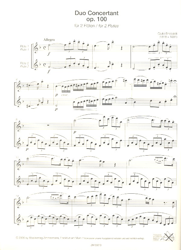 Flöten-Journal Band 3