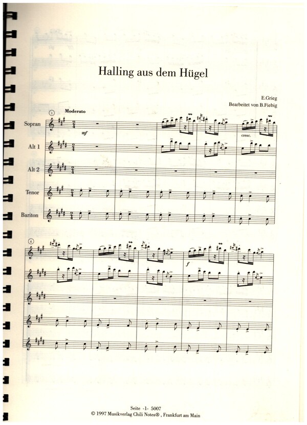 Halling aus dem Hügel op.72