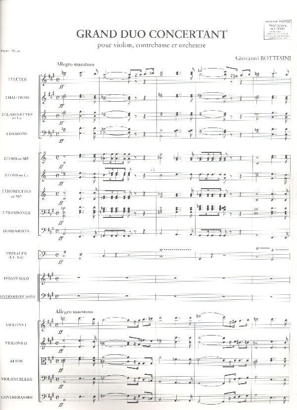 Grand duo concertant