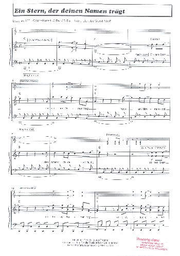Ein Stern der deinen Namen trägt: