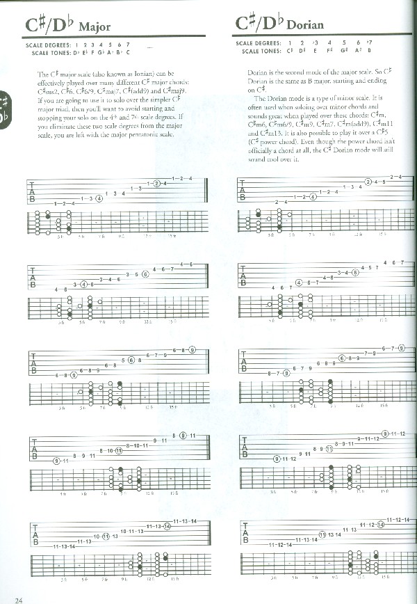 The Guitar Scale Picture Book for guitar/tab