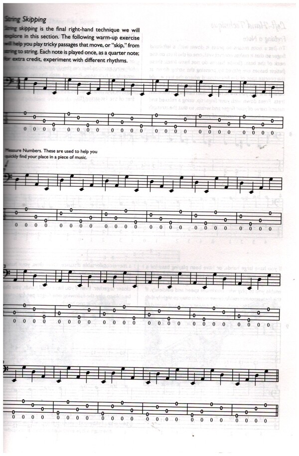 The total Blues Bassist (+CD):