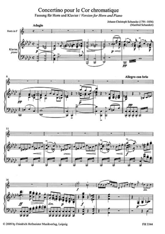 Concertino pour le Cor cromatique 