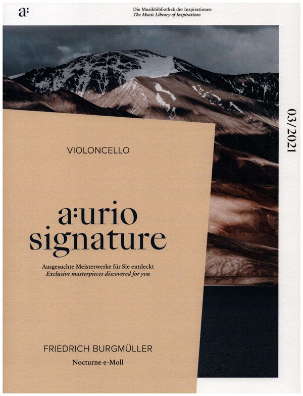 Nocturne e-Moll