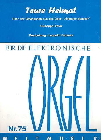 Teure Heimat für E-Orgel