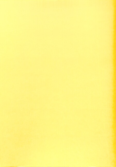 9 Orgelstücke