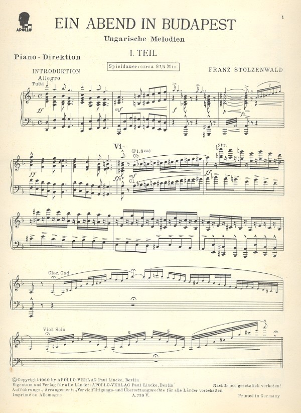 Ein Abend in Budapest: