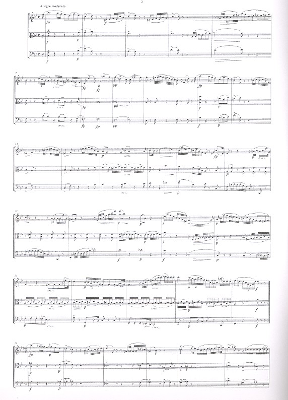 Trio B-Dur D581 für Violine, Viola