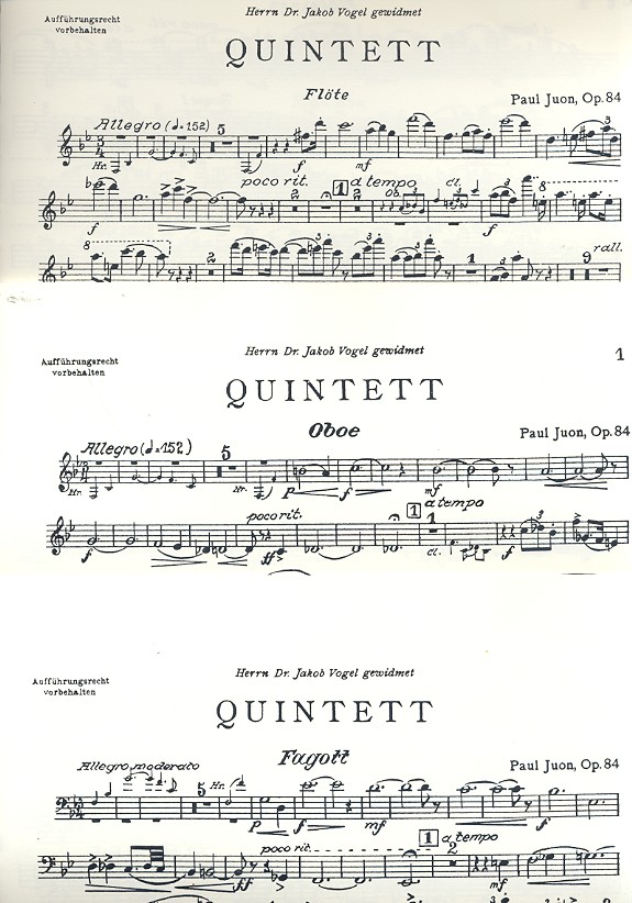 Quintett op.84