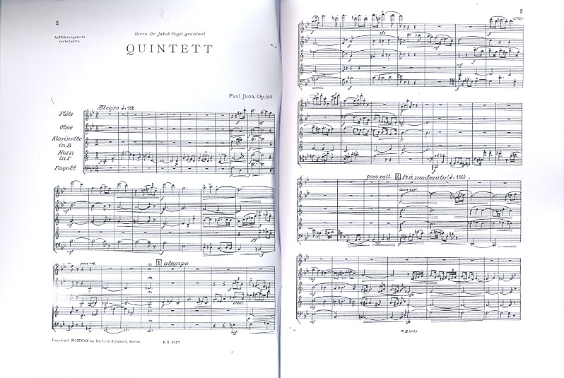 Quintett op.84