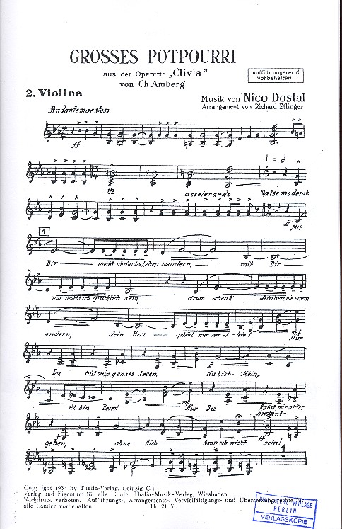 Großes Potpourri aus Clivia: