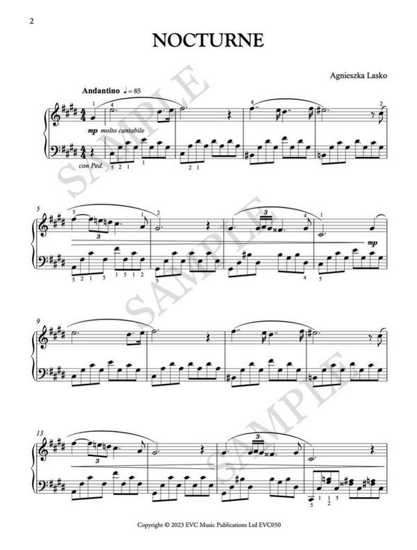 22 Nocturnes for Chopin