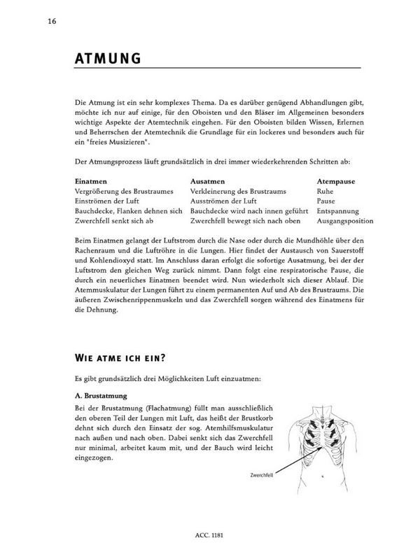 oboenbasis 