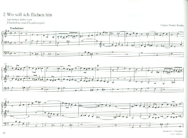 Norddeutsche Orgelmusik aus
