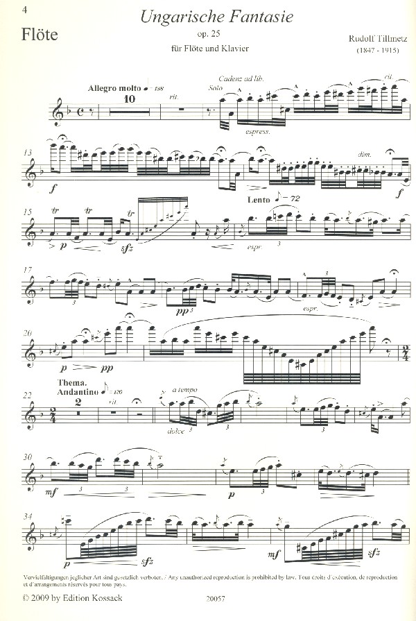 Ungarische Fantasie op.25