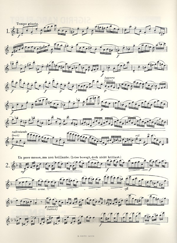 30 Studien op.107