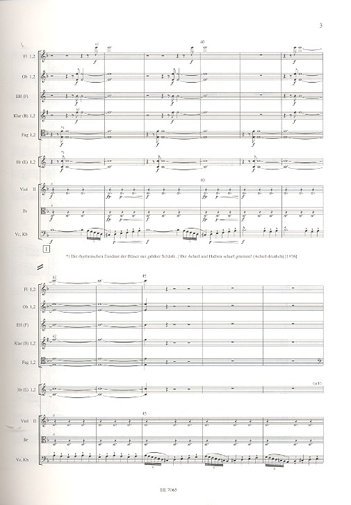 Die Walküre  (Oper)