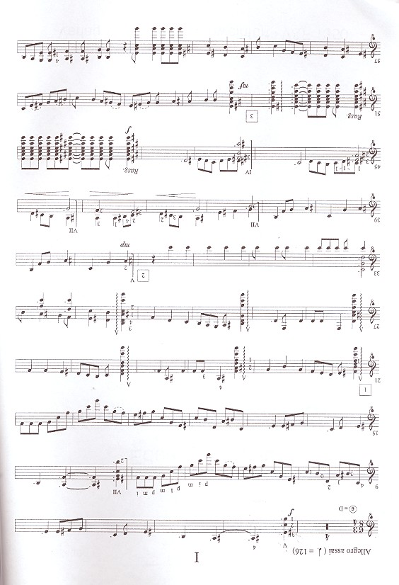 Il sogna del pesciolino Konzert