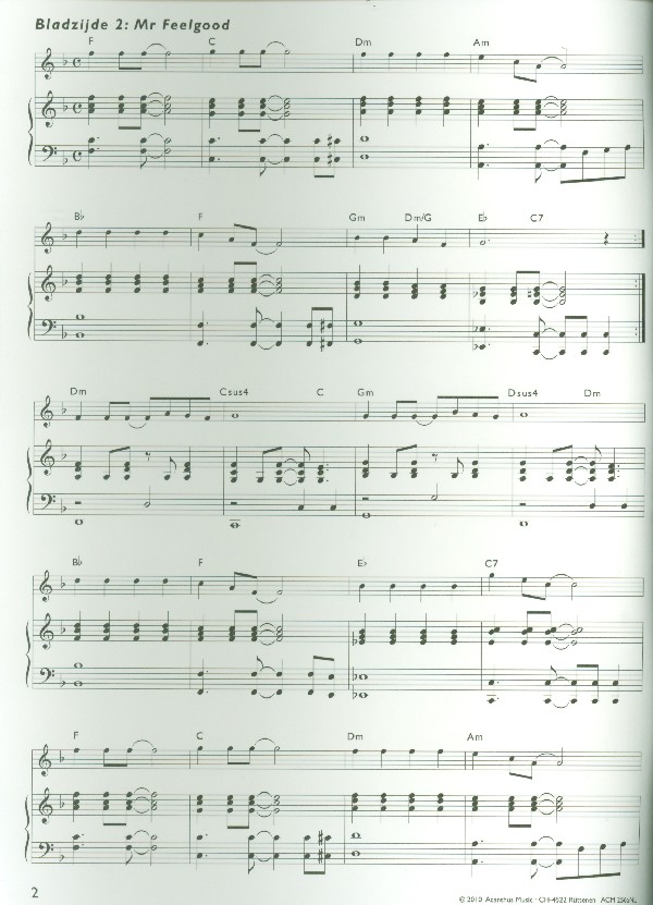 Blokfluitkoffer vol.3 begeleidingen (nl)