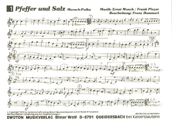 Straßenmusikanten Band 1