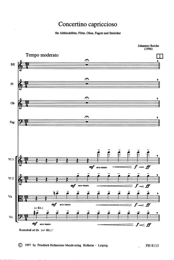 Concertino capriccioso für