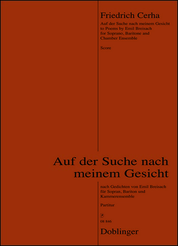 Auf der Suche nach meinem Gesicht