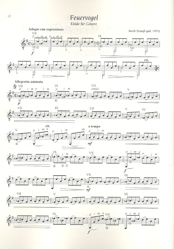 Schweinfurter Gitarrenbuch