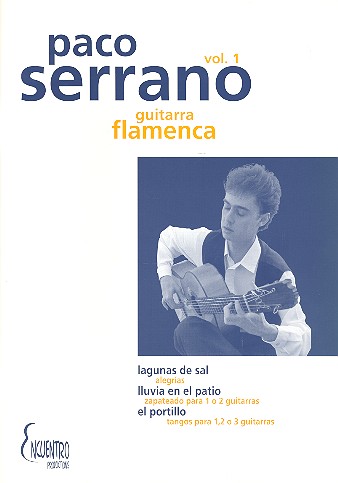 La guitarra flamenca vol.1: für Gitarre/
