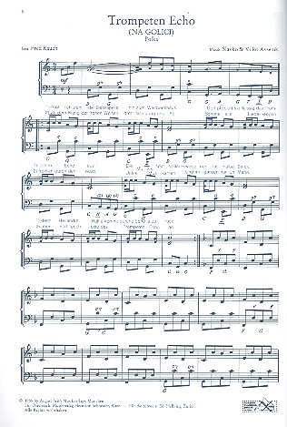 20 Welterfolge  und  Musik mein Glück: