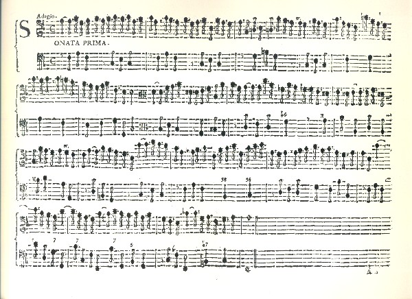 12 suonate op.2 a flauto solo con Bc