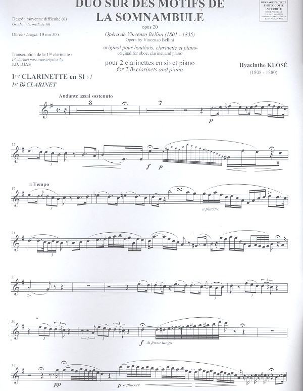 Duo sur des motifs de La somnambule
