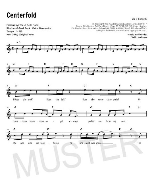 100 Pop Rock Songs (+USB-Stick):