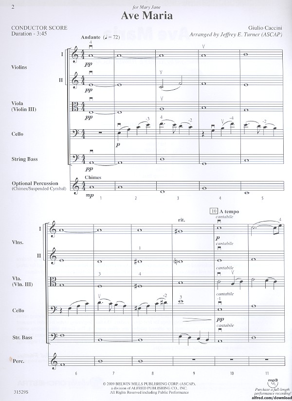 Ave Maria for string orchestra